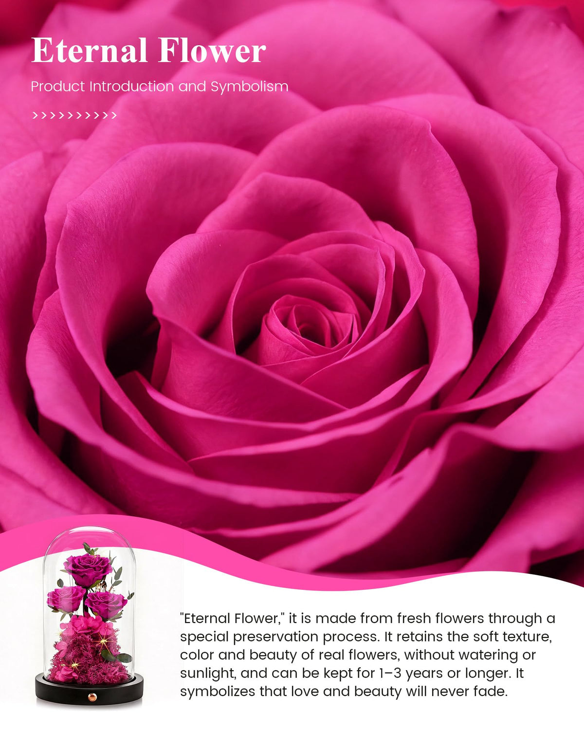 Agrul preserved rose in dome provides a romantic keepsake.