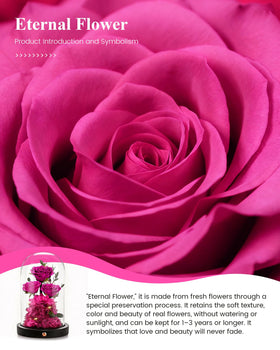 Agrul preserved rose in dome provides a romantic keepsake.