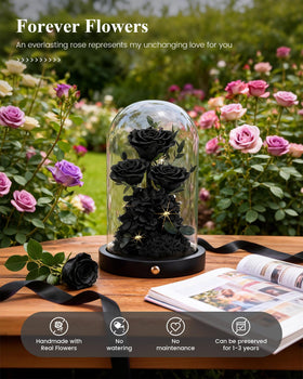 Agrul rose dome on mantel enhances timeless home decor