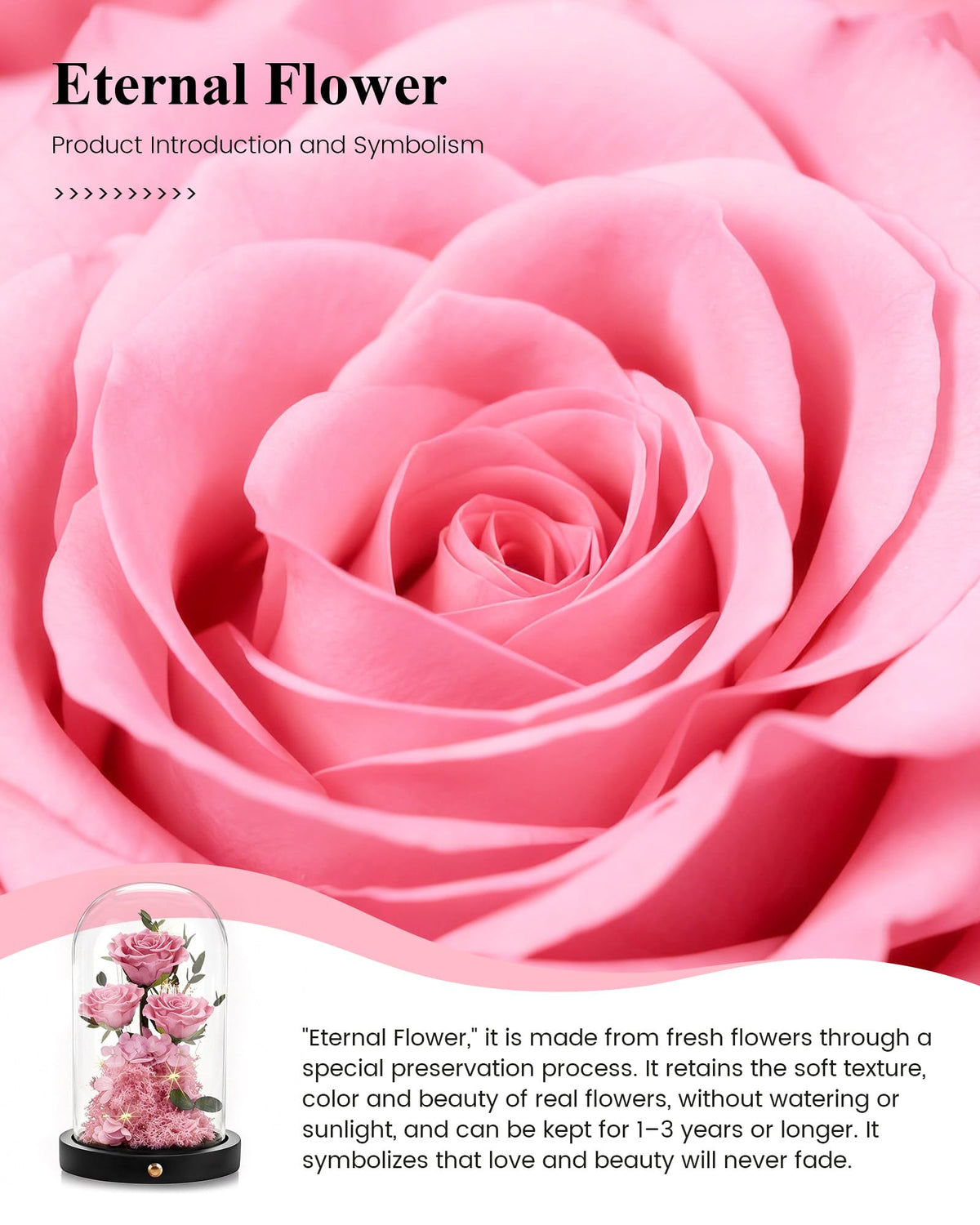 Agrul elegant rose present perfect for gifting moms, wives, or grandmothers.