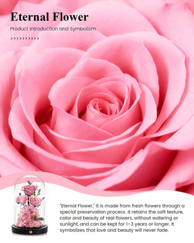 Agrul elegant rose present perfect for gifting moms, wives, or grandmothers.