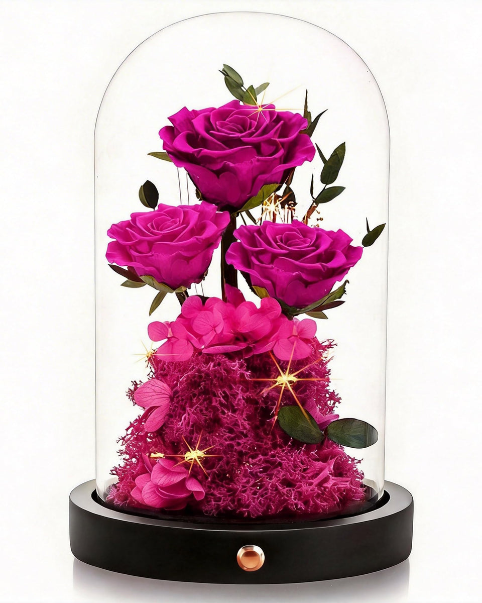 Agrul forever preserved rose in glass dome for lasting decor.
