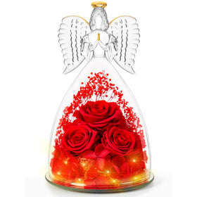 Agrul Forever Real Roses in Angel Dome brighten living spaces with lasting beauty.