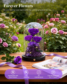 AGRUL forever rose in glass dome highlights long-lasting beauty in a chic display.