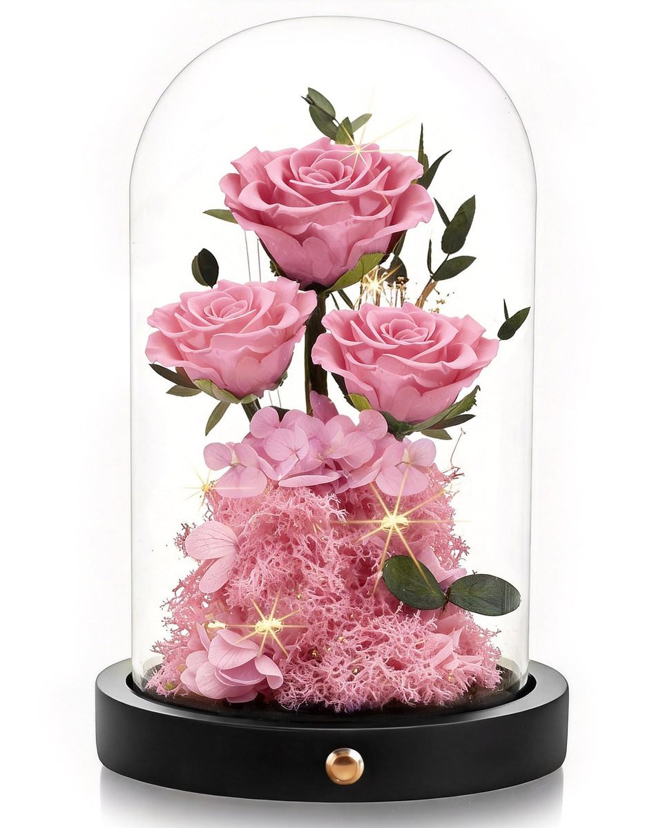 Agrul Forever Rose in pink glass dome for low-maintenance home decor.