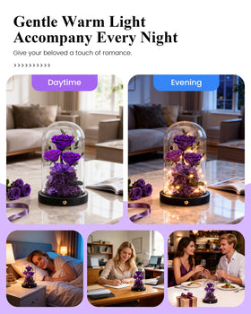 AGRUL gift-ready rose dome packaging makes gifting effortless and memorable.