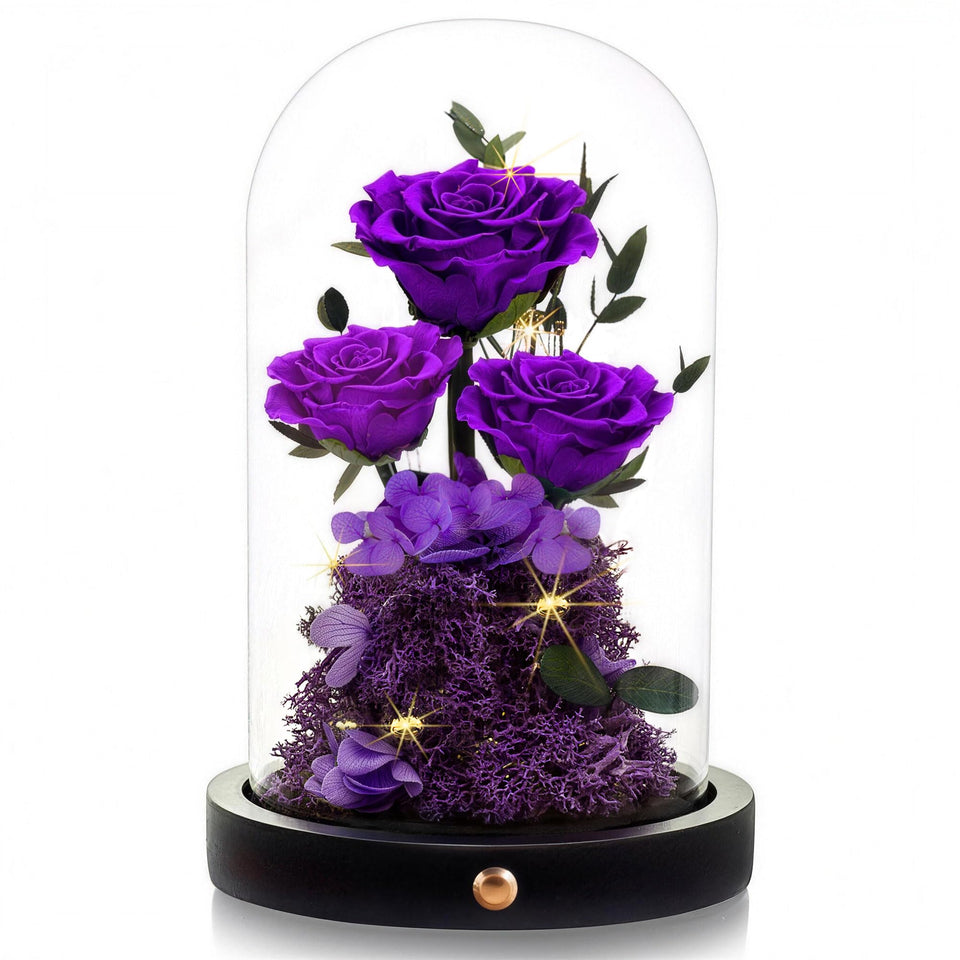 AGRUL Mother’s Day rose-dome displays lasting elegance for mom.