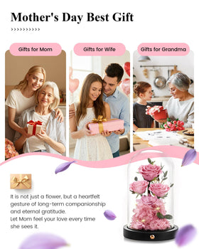 Agrul no-watering preserved rose ideal for desks and tabletops.