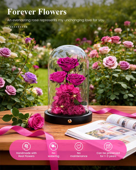 Agrul preserved rose in dome requires no watering.