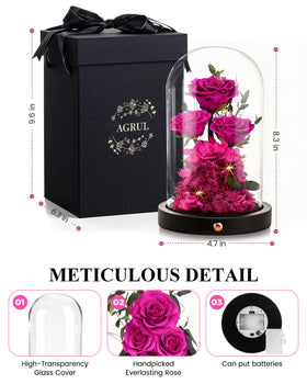 Agrul rose under glass dome adds elegant home décor.