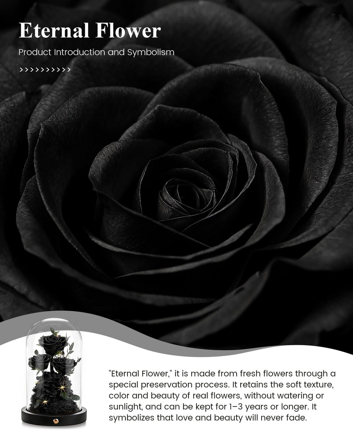 Agrul rose dome wrapped as a ready-to-gift keepsake