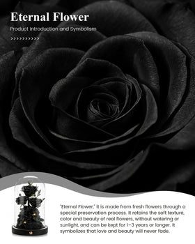 Agrul rose dome wrapped as a ready-to-gift keepsake