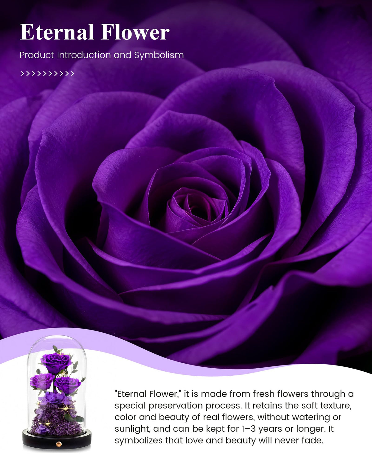 AGRUL wedding anniversary rose dome symbolizes enduring affection as a keepsake.