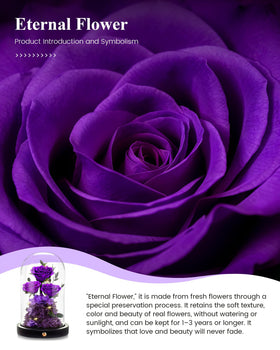AGRUL wedding anniversary rose dome symbolizes enduring affection as a keepsake.