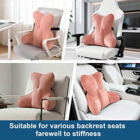 Ailuteie lumbar pillow with detachable cover for easy washing