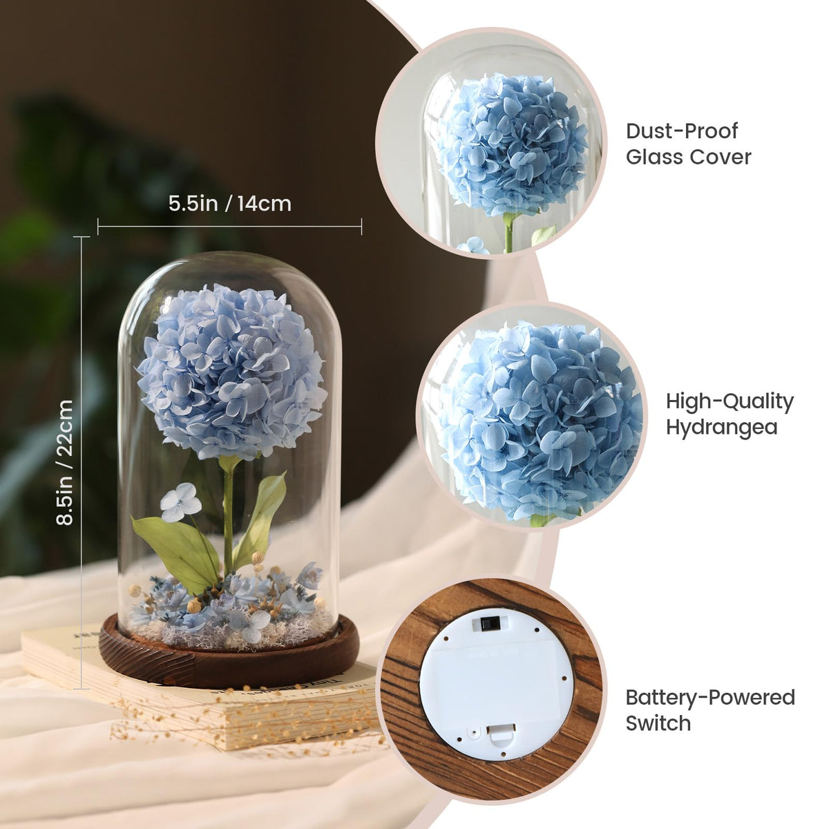 AIMEYE dust-proof glass cover keeps preserved blooms pristine and clean