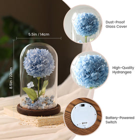 AIMEYE dust-proof glass cover keeps preserved blooms pristine and clean