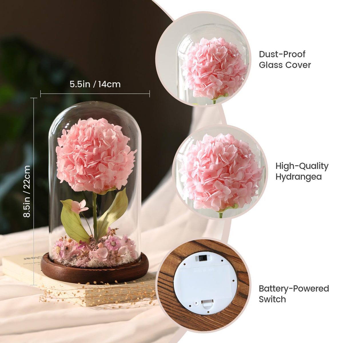 AIMEYE dust-proof glass cover protects the bloom while remaining decorative.