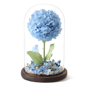 AIMEYE Forever Hydrangeas under a glass dome elevate desk decor with lasting color