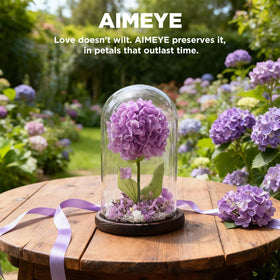 AIMEYE keepsake that conveys gratitude without daily maintenance.