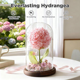 AIMEYE preserved hydrangea close-up shows vibrant color and lifelike petals.
