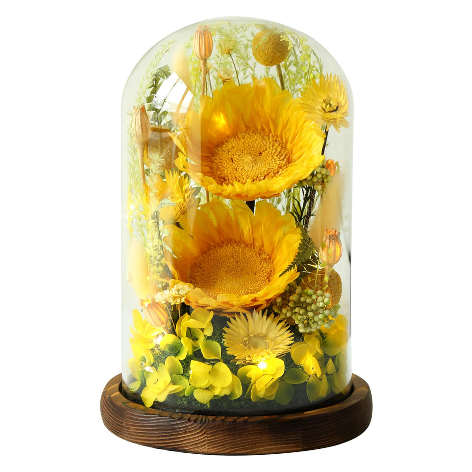 AIMEYE preserved sunflowers under glass dome provide lasting beauty.