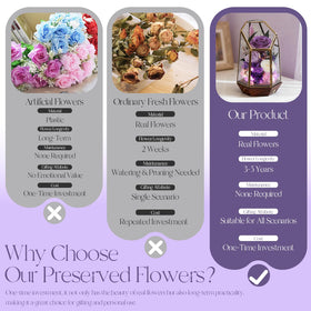 Purple AIMEYE preserved rose provides vibrant accent for shelves.
