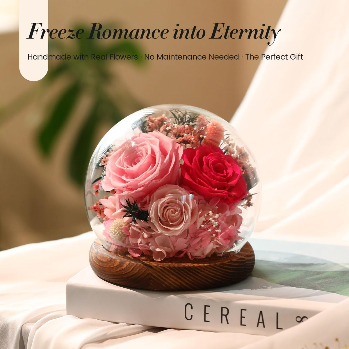 Aimeye rose under a crystal dome, elevating home decor with sentimental flair.