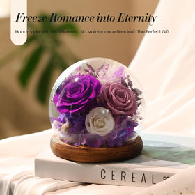 AIMEYE wooden base and crystal dome showcasing the preserved rose.
