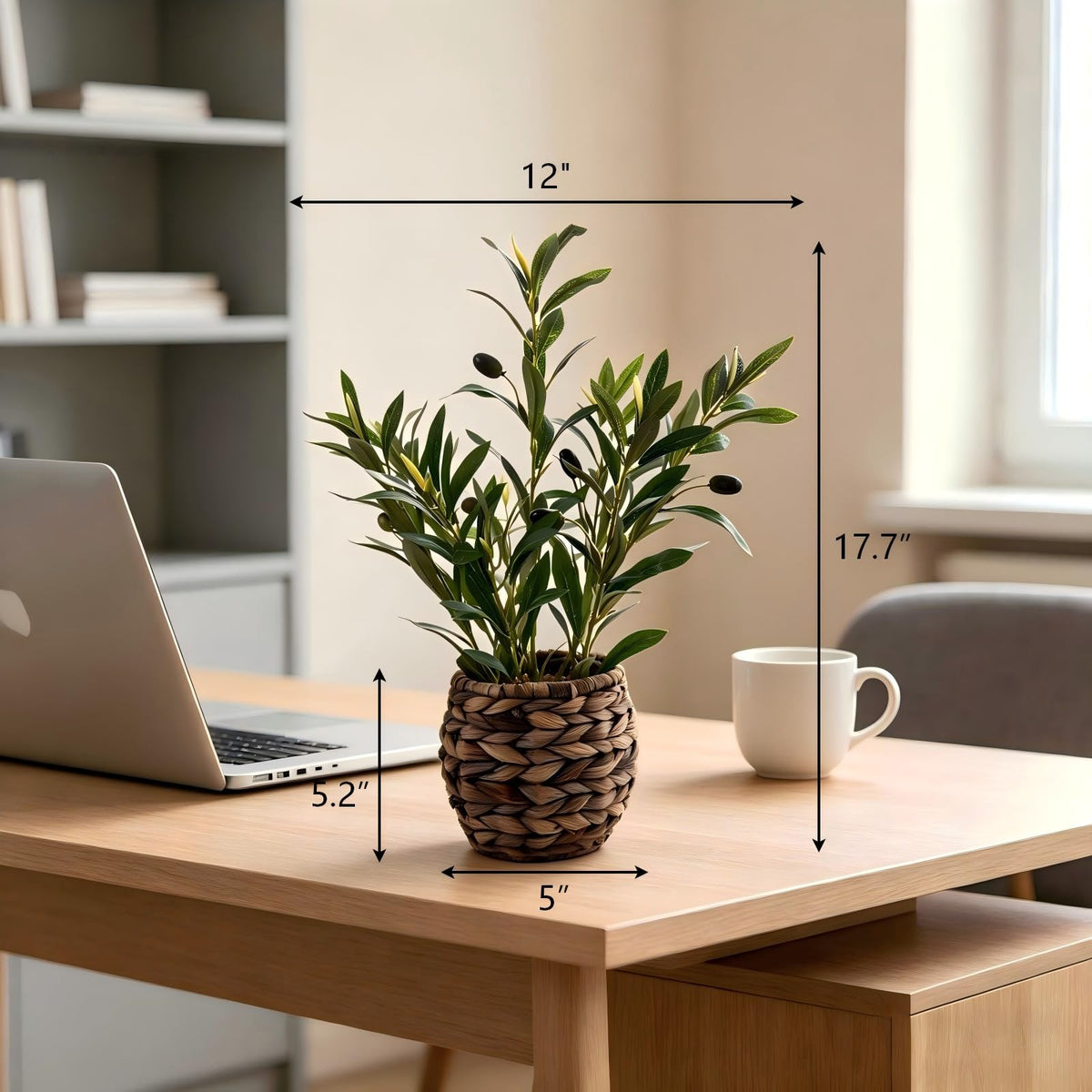 Ainuowei olive plant on a desk setup, elevating office decor with natural charm.