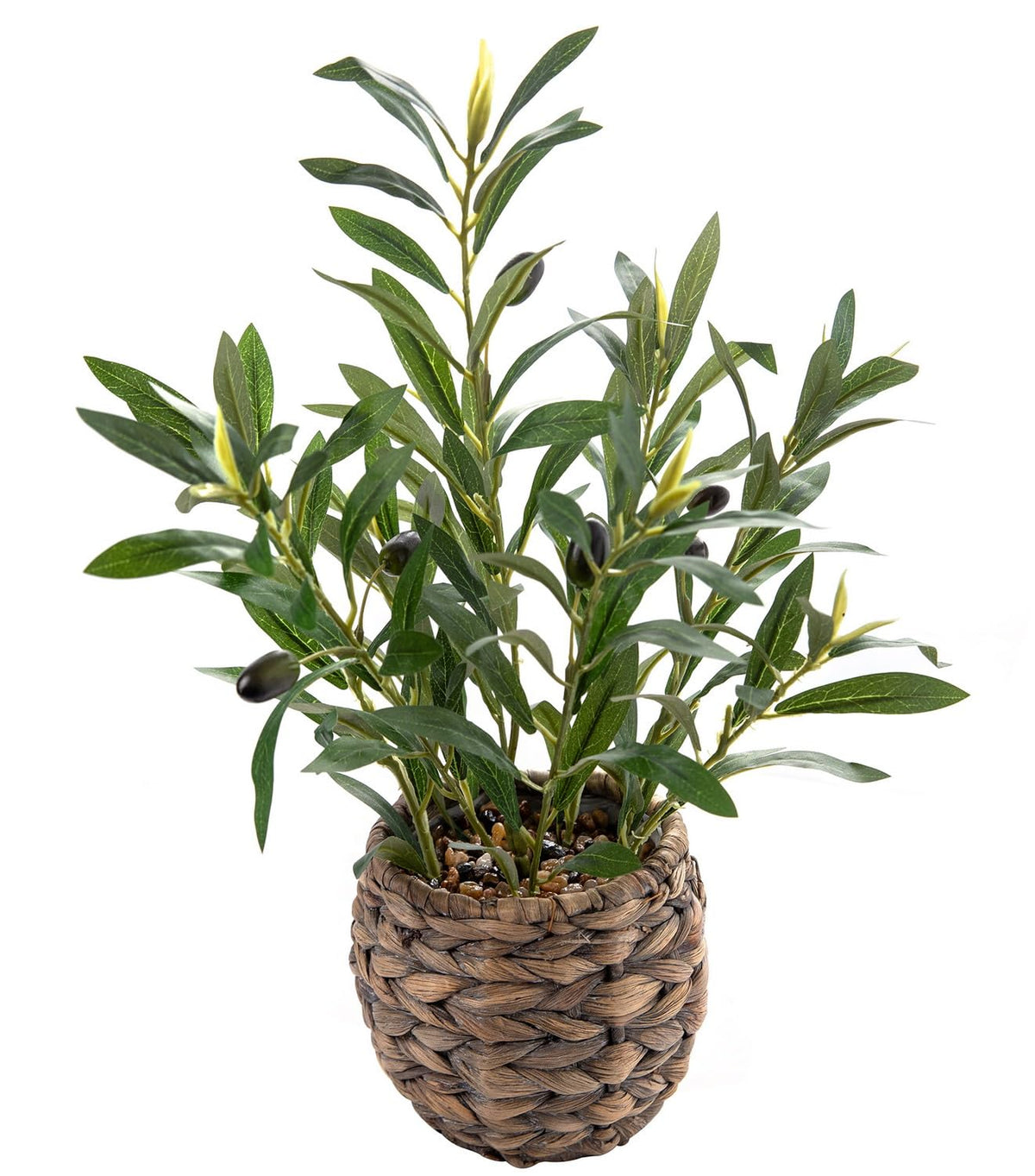 Ainuowei olive plant in handwoven basket on a desk, adds texture to the space.