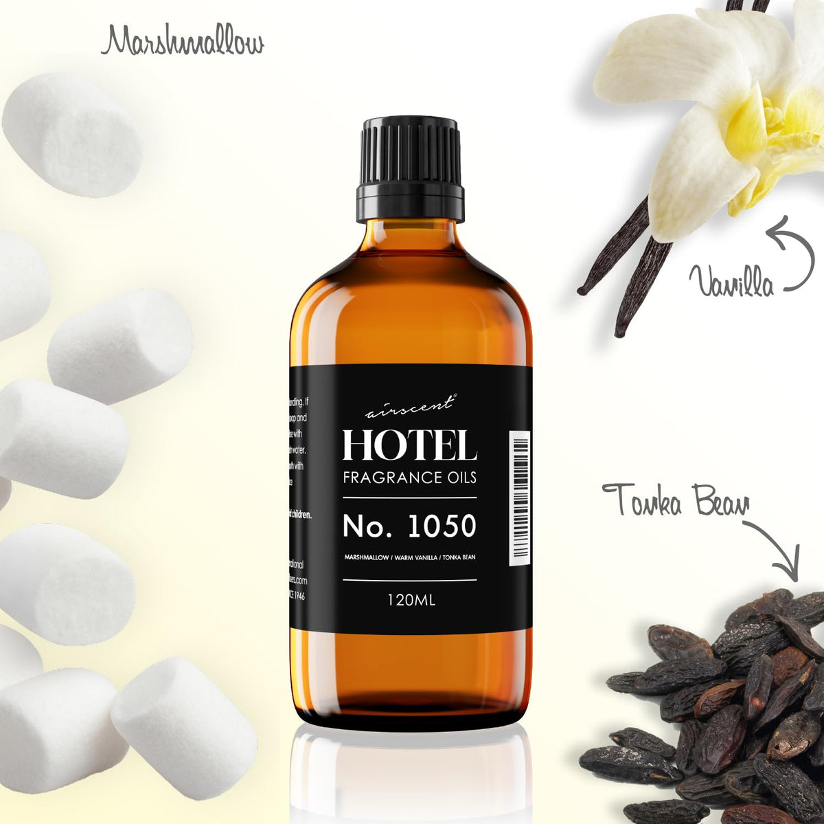 Vanilla bean close-up showing depth of marshmallow and tonka bean sweetness
