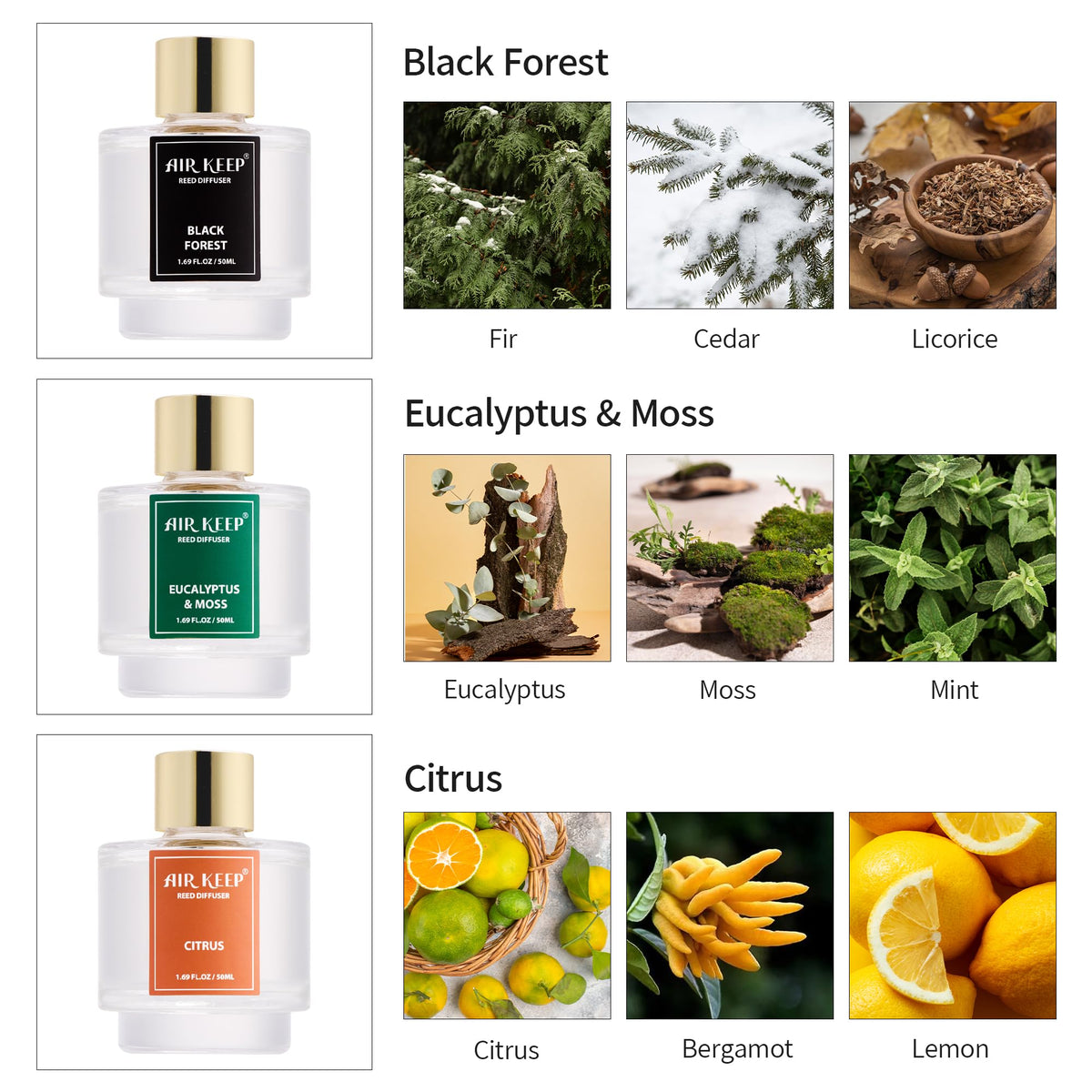 Airkeep Eucalyptus Moss diffuser bottle offers refreshing scent for focus