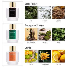 Airkeep Eucalyptus Moss diffuser bottle offers refreshing scent for focus