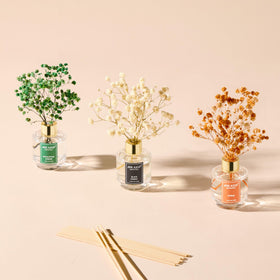 Airkeep gift box makes a ready-to-gift aromatherapy set