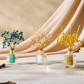 Airkeep gift box showcases elegant packaging ready to gift
