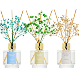 Airkeep Jasmine Mint diffuser bottle promotes calm bedroom ambiance