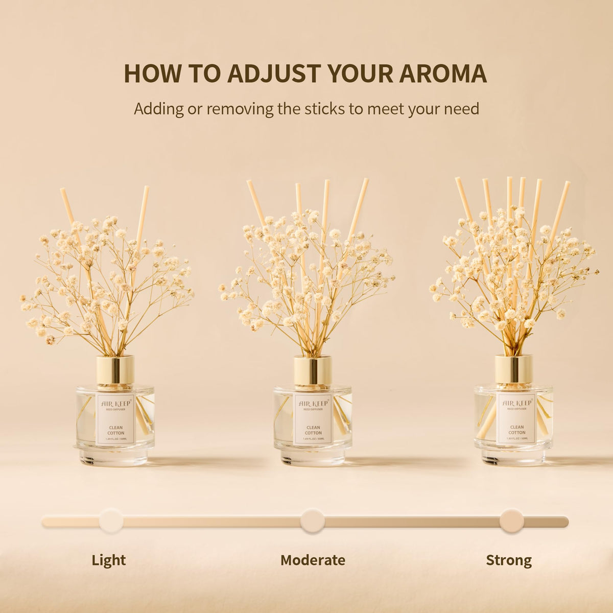 Airkeep Preserved Flowers set adds long-lasting decorative color