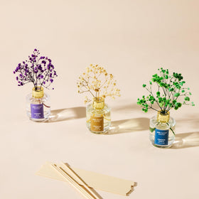 Airkeep gift box presentation makes a thoughtful aroma gift for occasions.