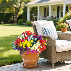 AITISOR zero-maintenance outdoor plants stay vibrant without watering.