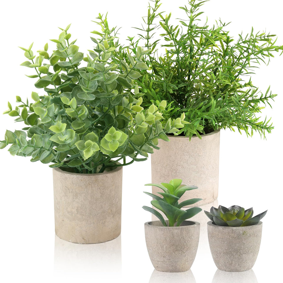 ALAGIRLS eucalyptus in pulp pot for farmhouse bathroom ambiance