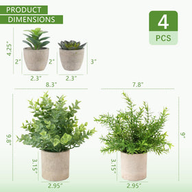 ALAGIRLS rosemary in pulp pot adds kitchen decor appeal