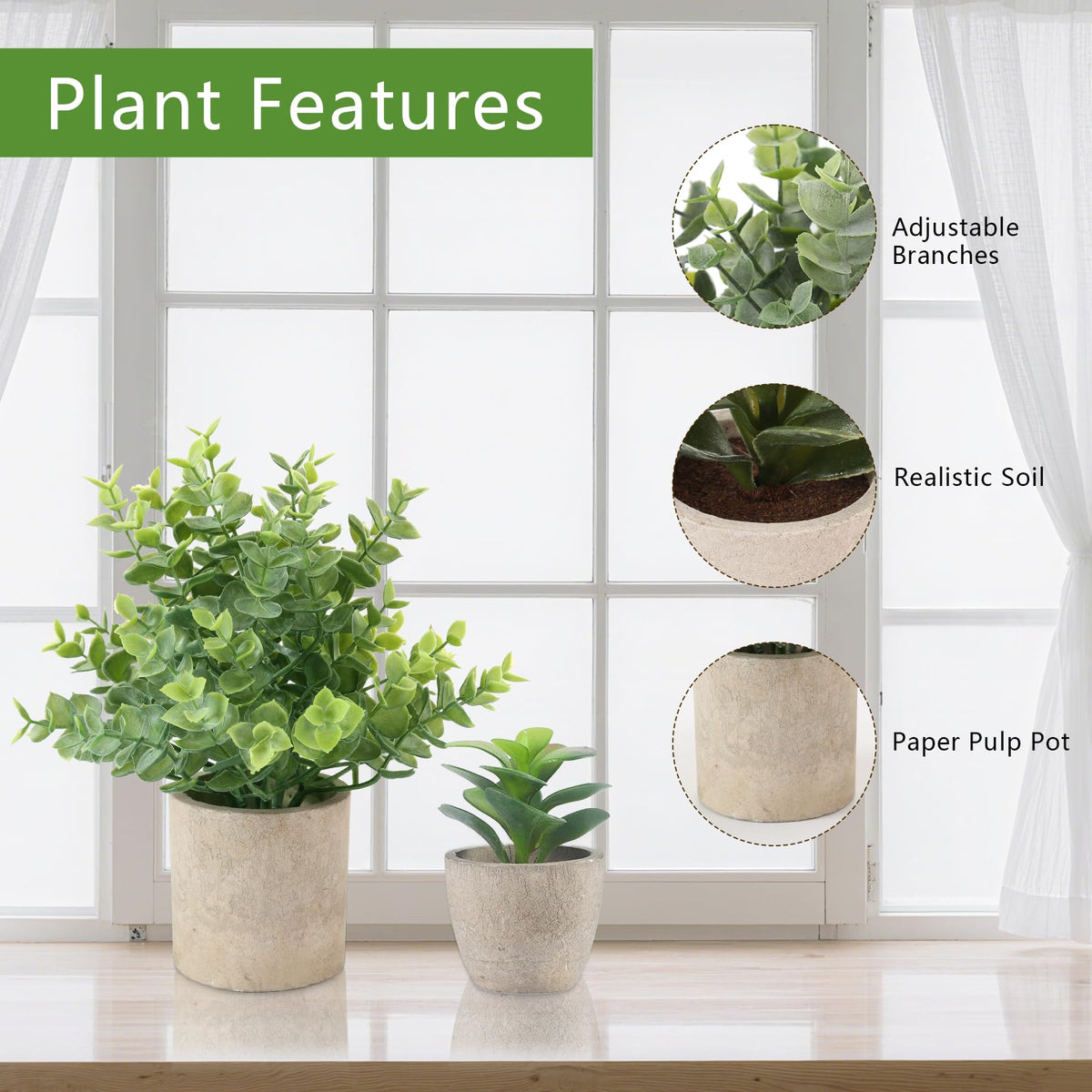 ALAGIRLS rosemary in pulp pot plant for countertop decor
