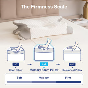 Alcedo Cervical Pillow dimensions graphic shows 12.6 by 24.8 inches