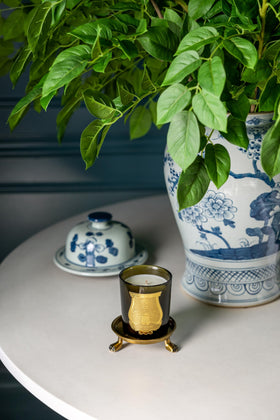 Alice Lane Round Clawfoot Dish gold finish catches light beautifully.