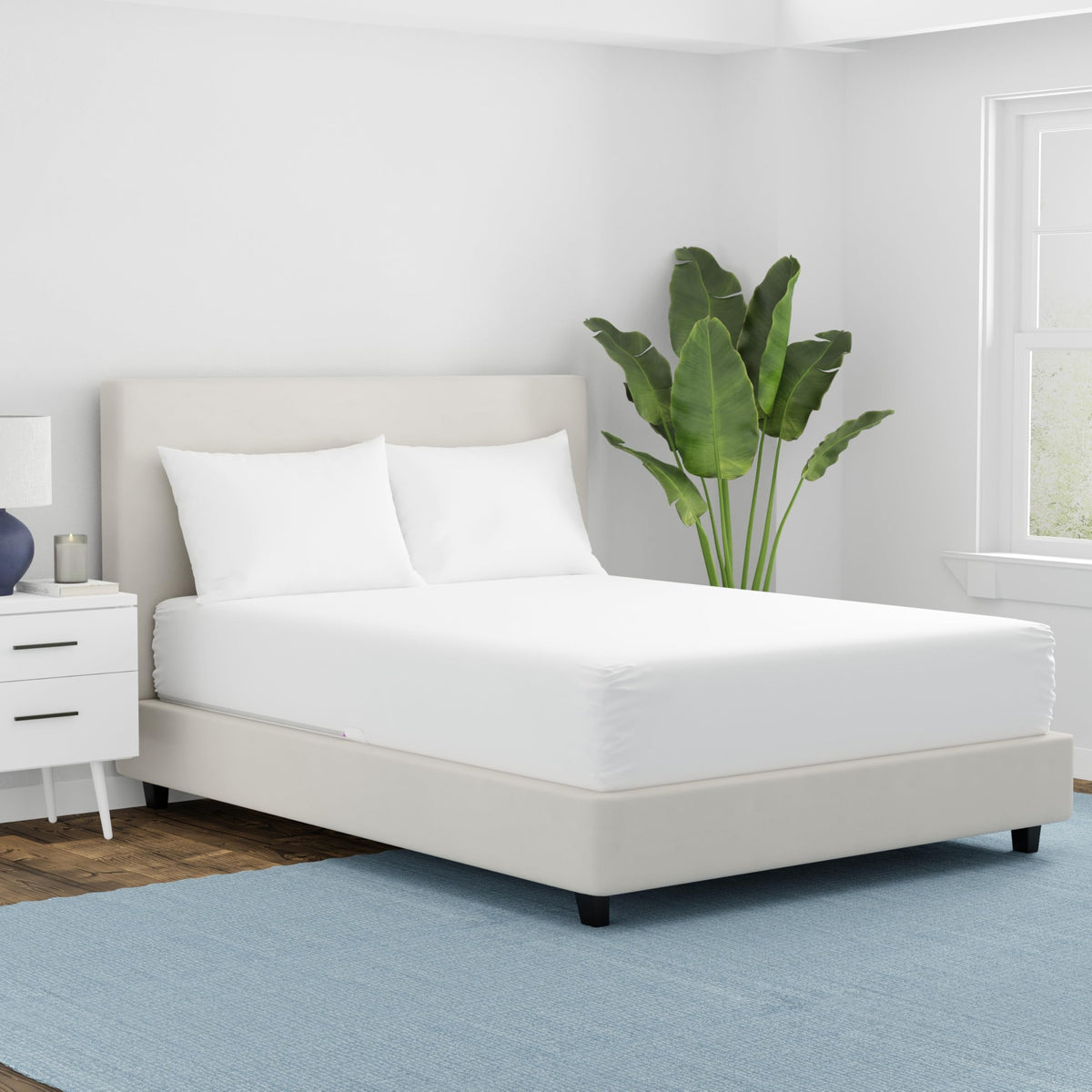 Aller-Ease waterproof mattress protector queen demonstrating full coverage