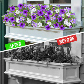 Alotiki petunias for indoor and outdoor decor year-round charm