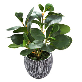 AlphaAcc artificial fiddle leaf fig full plant for lush indoor decor.