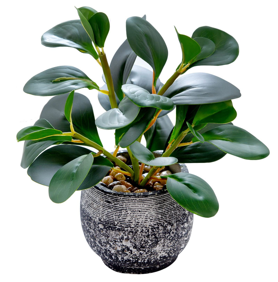 AlphaAcc artificial plant in cement pot adds year-round greenery to a desk.