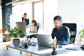 AlphaAcc fiddle leaf fig on desk creating stylish office decor.